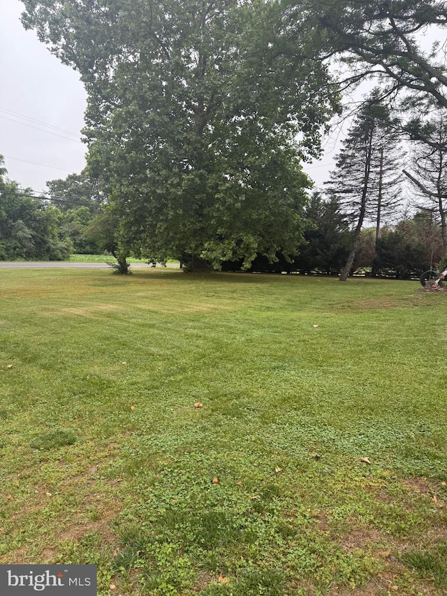 352 Almond Rd, Pittsgrove, NJ 08318 - view of green lawn