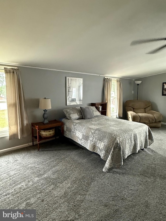 352 Almond Rd, Pittsgrove, NJ 08318 - carpeted bedroom with baseboards and crown molding