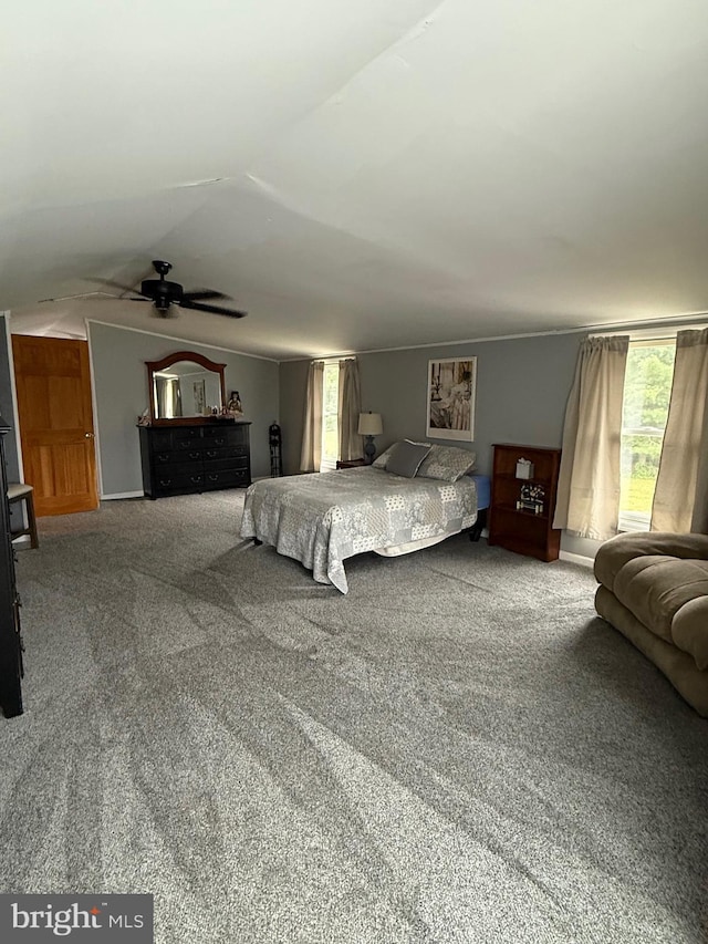 352 Almond Rd, Pittsgrove, NJ 08318 - bedroom with carpet floors, multiple windows, lofted ceiling, and a ceiling fan