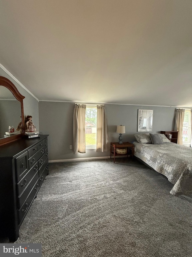 352 Almond Rd, Pittsgrove, NJ 08318 - bedroom featuring multiple windows, carpet floors, and crown molding