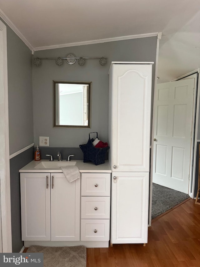 352 Almond Rd, Pittsgrove, NJ 08318 - bathroom with wood finished floors, crown molding, and vanity