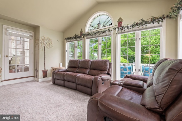 16 Fox Hollow Dr, Lancaster, PA 17602 - carpeted living area featuring baseboards and high vaulted ceiling