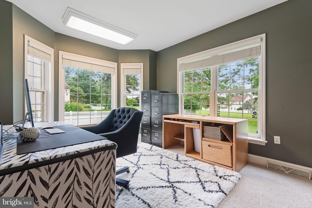 16 Fox Hollow Dr, Lancaster, PA 17602 - home office with light carpet