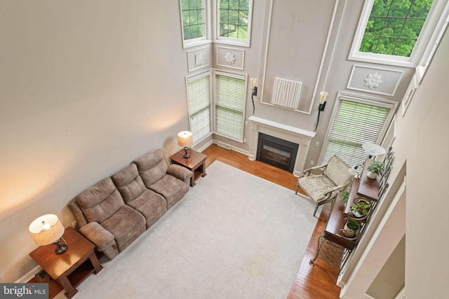 16 Fox Hollow Dr, Lancaster, PA 17602 - living room featuring a high ceiling, wood finished floors, and a glass covered fireplace