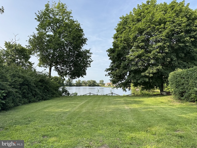 313 W Third St, Camden Wyoming, DE 19934 - view of green lawn with a water view