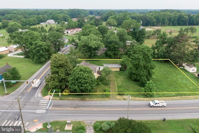 35118 Roxana Rd, Frankford, DE 19945 - aerial view of property's location with property parcel outlined