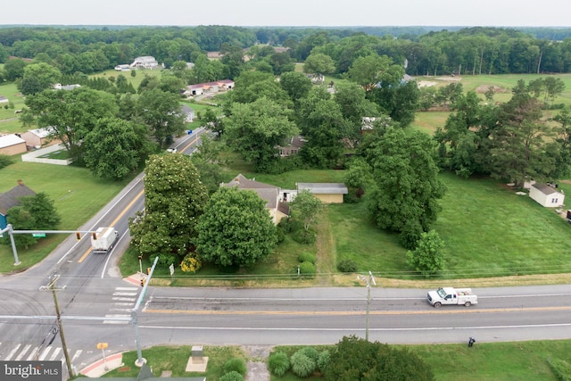 35118 Roxana Rd, Frankford, DE 19945 - drone / aerial view