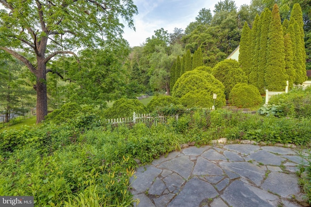 1801 Stringtown Rd, Sparks Glencoe, MD 21152 - view of yard with a patio