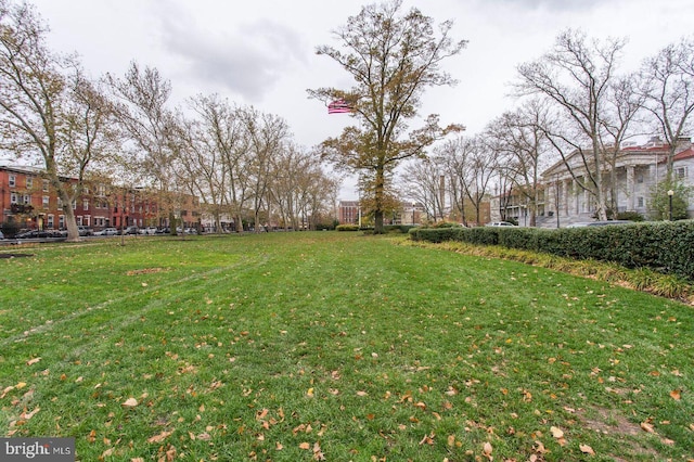 406 Regatta Dr, Philadelphia, PA 19146 - view of green lawn