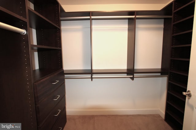 12500 Park Potomac Ave Unit 409, Potomac, MD 20854 - spacious closet with carpet