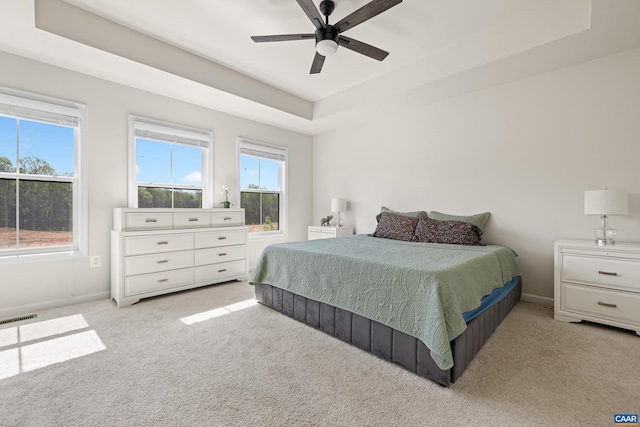 3028 Horizon Rd, Charlottesville, VA 22902 - bedroom featuring light colored carpet, a raised ceiling, and multiple windows