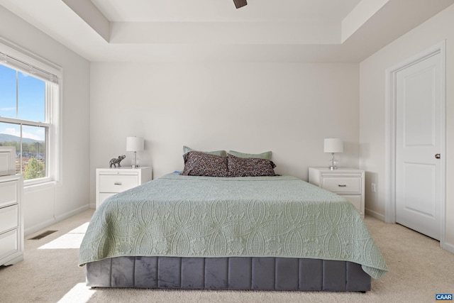 3028 Horizon Rd, Charlottesville, VA 22902 - bedroom featuring carpet floors and a tray ceiling