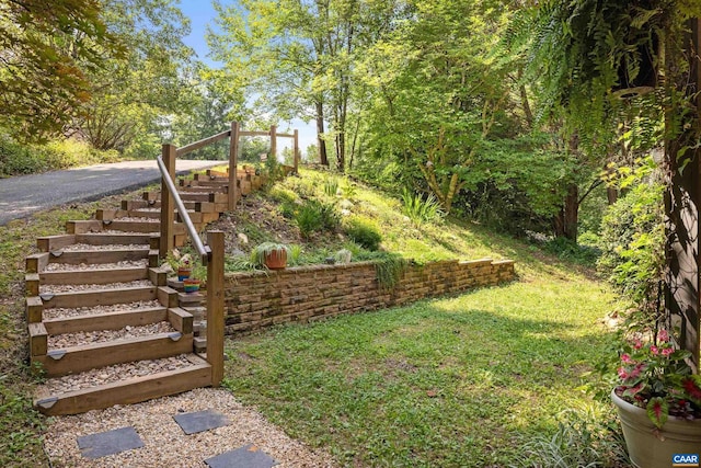 295 Homestead Ln, Charlottesville, VA 22902 - view of green lawn featuring stairs