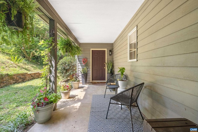 295 Homestead Ln, Charlottesville, VA 22902 - view of patio / terrace