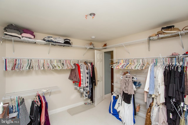 3879 Charter Club Dr, Doylestown, PA 18902 - spacious closet with carpet