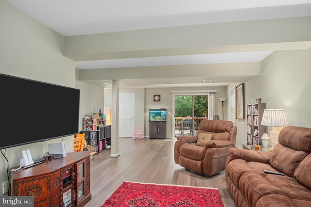 11603 Auburn Grove Ct, Reston, VA 20194 - living area featuring light wood-type flooring