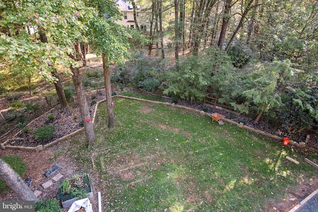 11603 Auburn Grove Ct, Reston, VA 20194 - view of green lawn