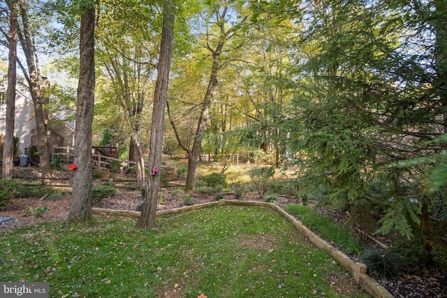 11603 Auburn Grove Ct, Reston, VA 20194 - view of yard