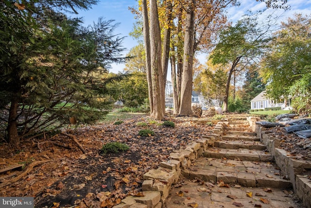 11603 Auburn Grove Ct, Reston, VA 20194 - view of yard