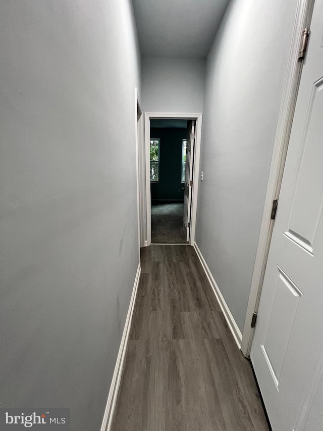 1107 N Fulton Ave, Baltimore, MD 21217 - corridor featuring dark wood-style flooring and baseboards