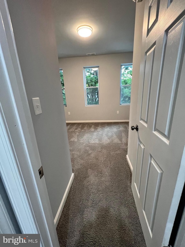 1107 N Fulton Ave, Baltimore, MD 21217 - hallway with dark carpet and baseboards