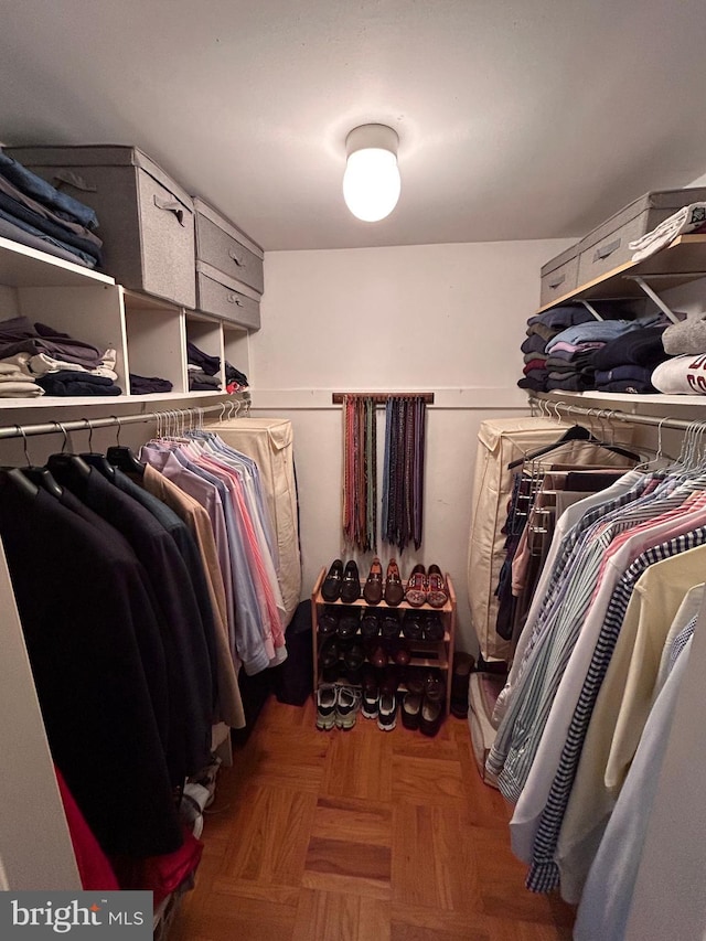 223 Country Gate Rd, Wayne, PA 19087 - view of spacious closet