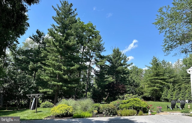 223 Country Gate Rd, Wayne, PA 19087 - view of street