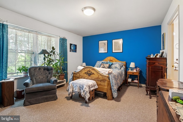 324 Winners Cir Unit 324, Red Lion, PA 17356 - view of carpeted bedroom