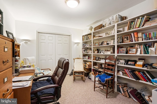 324 Winners Cir Unit 324, Red Lion, PA 17356 - office with carpet floors