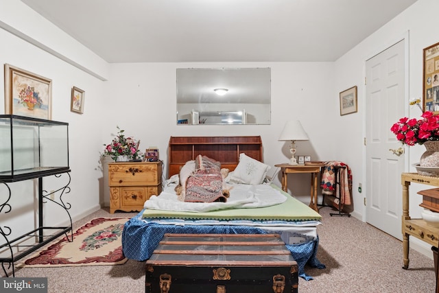 324 Winners Cir Unit 324, Red Lion, PA 17356 - bedroom featuring carpet floors and baseboards