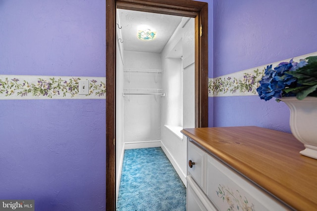 1445 Farmington Ave, Pottstown, PA 19464 - spacious closet with carpet