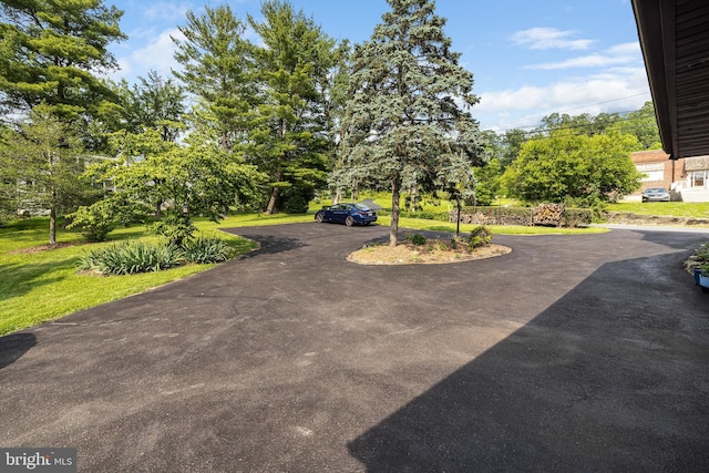 1445 Farmington Ave, Pottstown, PA 19464 - view of yard with driveway