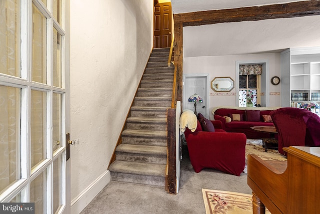 1445 Farmington Ave, Pottstown, PA 19464 - staircase with carpet and a textured wall