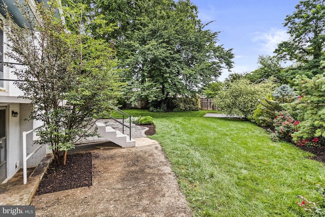 7119 Sea Cliff Rd, Mclean, VA 22101 - view of yard
