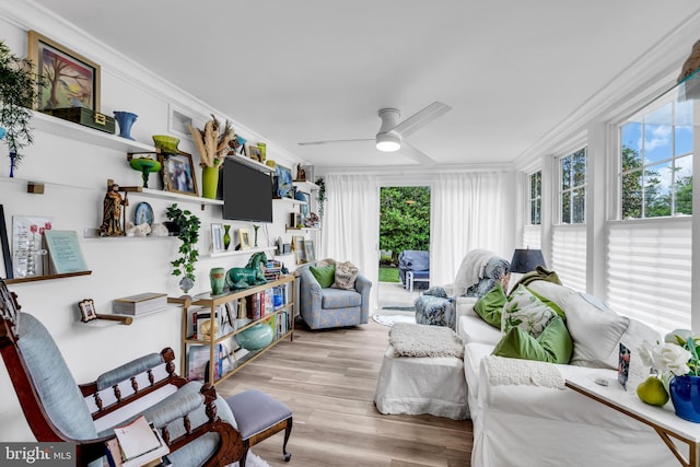 19 Warwick Way, Southampton, NJ 08088 - living area featuring crown molding, ceiling fan, and wood finished floors