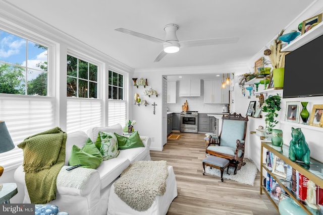 19 Warwick Way, Southampton, NJ 08088 - living room with light wood-style flooring, a ceiling fan, and ornamental molding