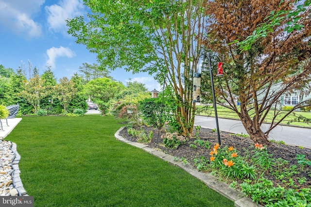 19 Warwick Way, Southampton, NJ 08088 - view of green lawn