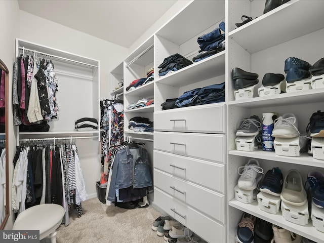 5910 Constance Way, New Market, MD 21774 - spacious closet with carpet