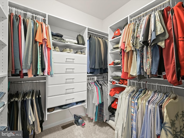 5910 Constance Way, New Market, MD 21774 - spacious closet featuring carpet