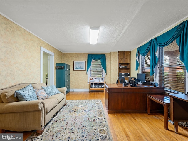 507 S Fairfax Blvd, Charles Town, WV 25414 - office space with crown molding, light wood-type flooring, a textured ceiling, and wallpapered walls