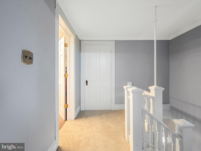507 S Fairfax Blvd, Charles Town, WV 25414 - hallway with an upstairs landing, carpet floors, and ornamental molding