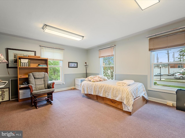 507 S Fairfax Blvd, Charles Town, WV 25414 - carpeted bedroom with multiple windows