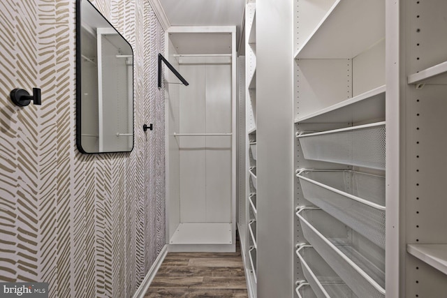 20408 Shore Harbour Dr Unit 5-C, Germantown, MD 20874 - spacious closet with wood finished floors