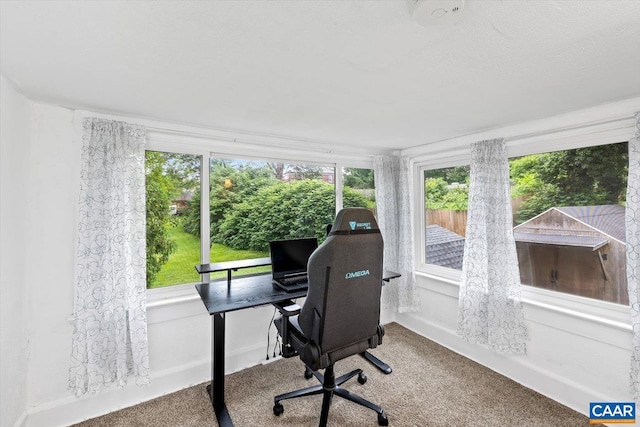 614N Commerce St, Culpeper, VA 22701 - office space with carpet