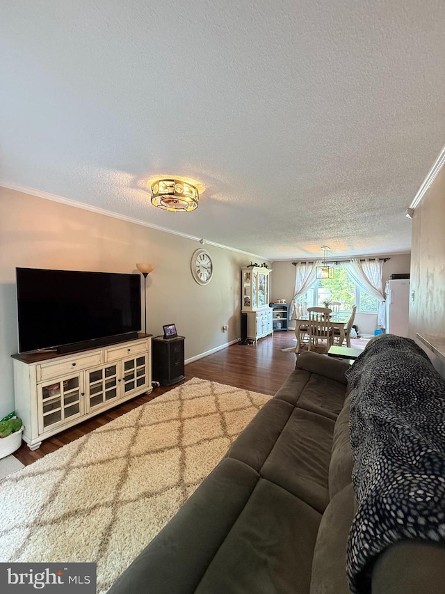 4123 Cassell Blvd, Prince Frederick, MD 20678 - living room with wood finished floors, ornamental molding, and a textured ceiling