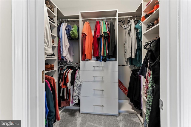 519 S Media Way, Media, PA 19063 - view of spacious closet