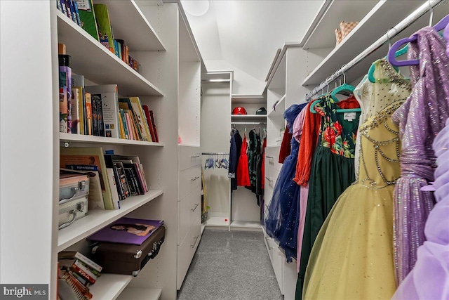 519 S Media Way, Media, PA 19063 - walk in closet with carpet floors