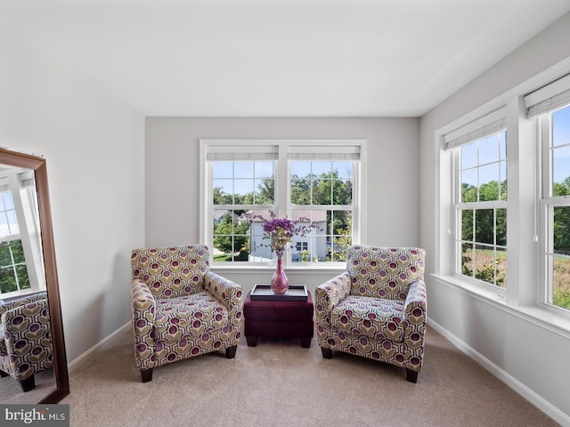 24847 Mason Dale Ter, Chantilly, VA 20152 - sitting room with carpet floors