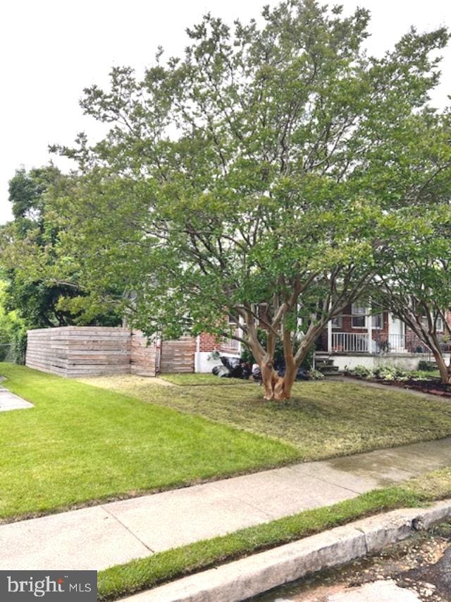 5904 Willet Ave, Baltimore, MD 21206 - view of green lawn