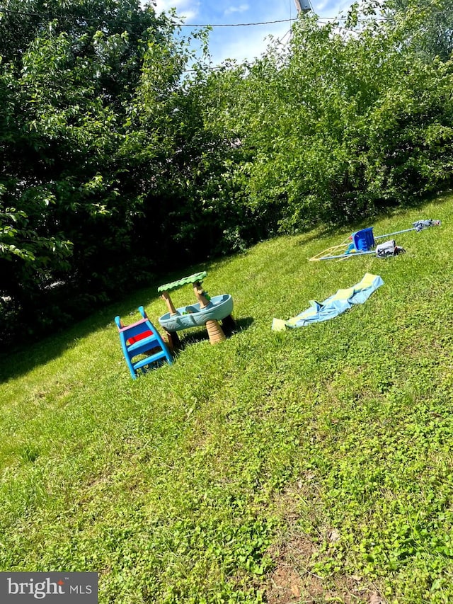 5904 Willet Ave, Baltimore, MD 21206 - view of green lawn